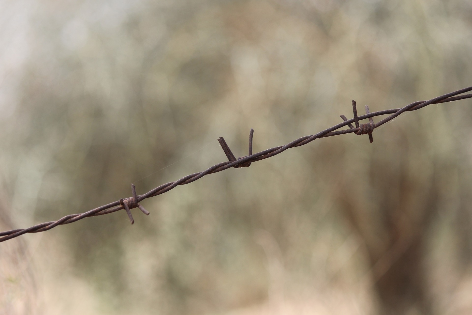 barbed-wire-144144_1920